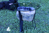 "Purple Pleasure" High Quality 18.00 Amethyst Geode Table w Custom Glass & Stand