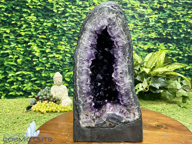 "REGAL LEOPARD" Brazil Amethyst Geode 15.00 Rare Spotted Agate Rim High Quality Cathedral NS-205
