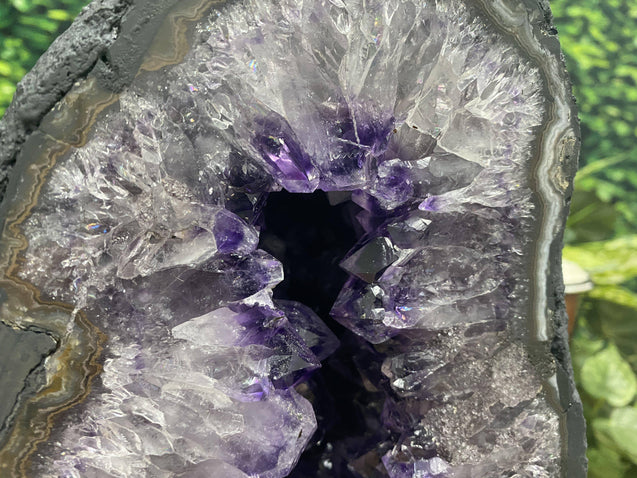 Amethyst Geode "INCREDI-GEODE" 10.00 High Quality Lustrous Beauty NS-127