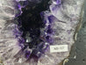 Amethyst Geode "INCREDI-GEODE" 10.00 High Quality Lustrous Beauty NS-127