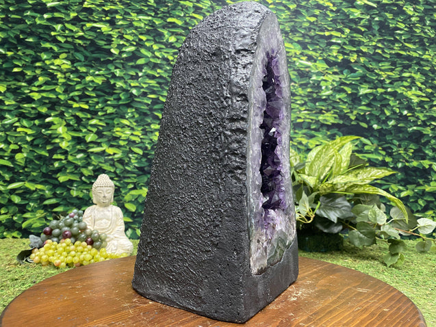 "REGAL LEOPARD" Brazil Amethyst Geode 15.00 Rare Spotted Agate Rim High Quality Cathedral NS-205