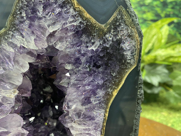 "PURE ROYALTY" Amethyst Geode Cathedral Agate Rim 8.00 High Quality Brazil NS-317