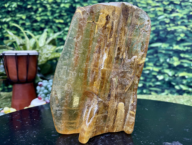 "WE DIDN'T START THE FIRE" Natural Amber Specimen 7.25 Incredibly Rare Mineral High Quality