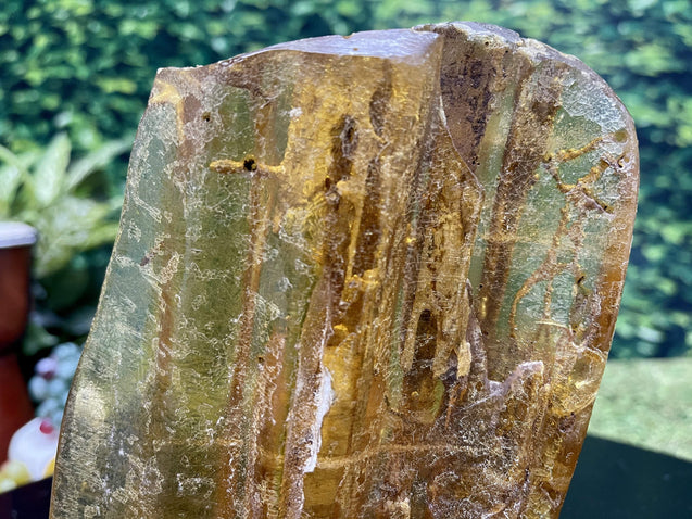 "WE DIDN'T START THE FIRE" Natural Amber Specimen 7.25 Incredibly Rare Mineral High Quality