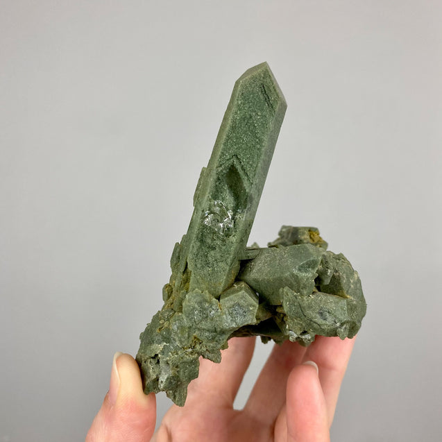 Chlorite Phantom Quartz Crystal Cluster
