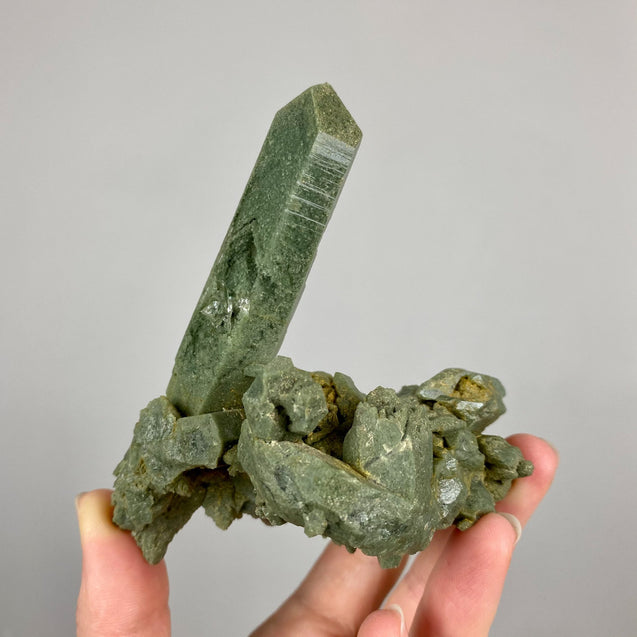 Chlorite Phantom Quartz Crystal Cluster
