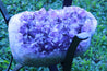 "Elixir of Life" High Quality 18.00 Amethyst Geode Table w Custom Glass & Stand