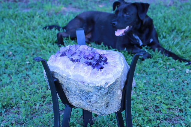"Purple Pleasure" High Quality 18.00 Amethyst Geode Table w Custom Glass & Stand