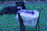 "Purple Pleasure" High Quality 18.00 Amethyst Geode Table w Custom Glass & Stand