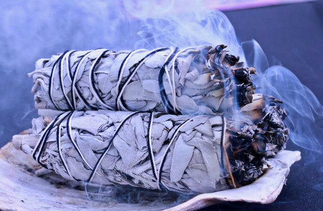 Sage Energy Cleansing Set Smudging Abalone Shell Organic California
