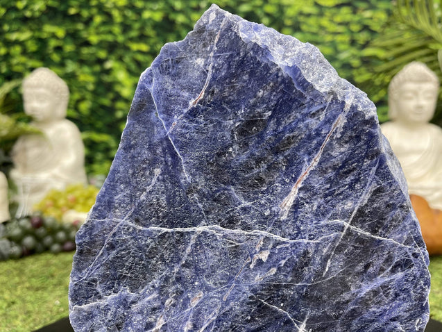 "CALM INTO THE CHAOS" Sodalite High Quality Specimen 9.00 Healing Crystal NS-634