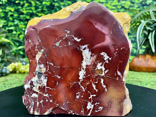 "LOOKIE MOOKIE WOOKIE" Mookaite Jasper Specimen 8.00 High Quality Rare Mineral NS-711