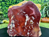 "LOOKIE MOOKIE WOOKIE" Mookaite Jasper Specimen 8.00 High Quality Rare Mineral NS-711