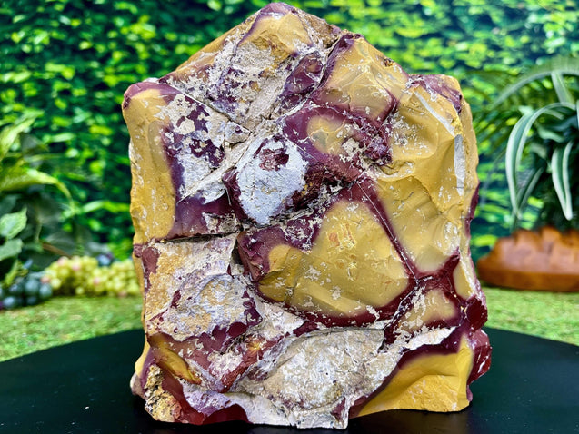 "LOOKIE MOOKIE WOOKIE" Mookaite Jasper Specimen 8.00 High Quality Rare Mineral NS-711