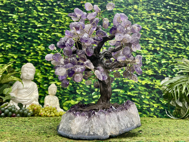 "MARVELOUS MAPLE OF MAGNIFICENCE" Amethyst Geode Gem Trees 11.00 High Quality Brazil T-36
