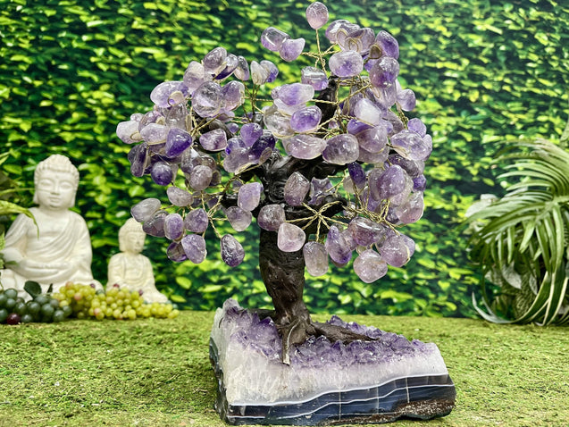 "MARVELOUS MAPLE OF MAGNIFICENCE" Amethyst Geode Gem Trees 11.00 High Quality Brazil T-36