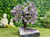 "MARVELOUS MAPLE OF MAGNIFICENCE" Amethyst Geode Gem Trees 11.00 High Quality Brazil T-36