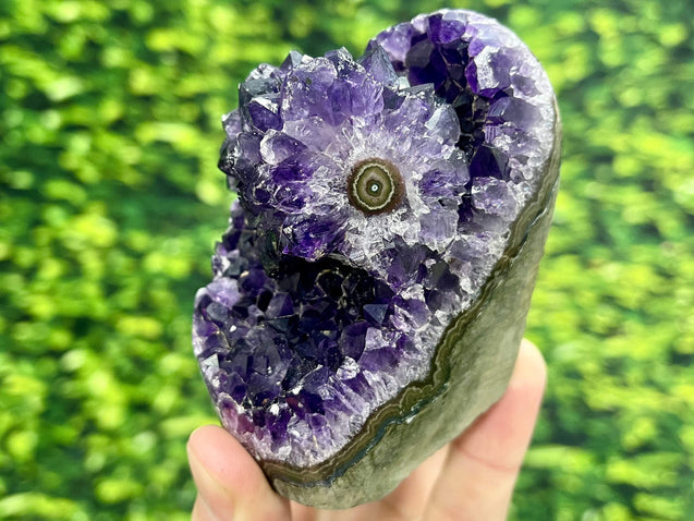"GUMDROP OF GUIDANCE" Amethyst Geode Self Standing HIGH QUALITY Uruguay