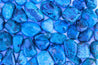 Chrysocolla GODDESS ENERGY Healing Gemstone SOOTHING EMPOWERING