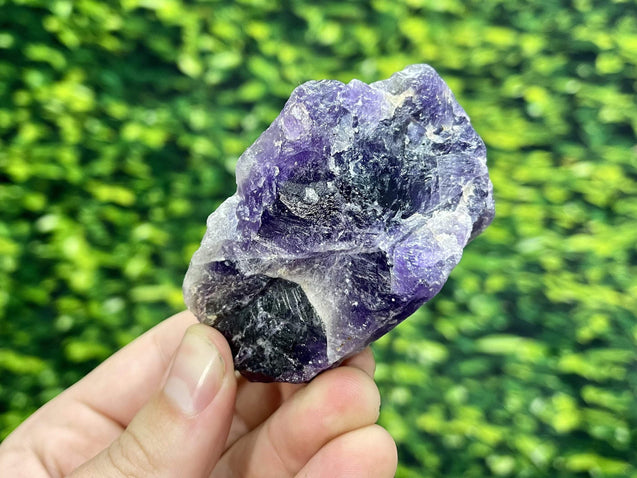 "EARLY BIRD EINSTEIN" Rainbow Fluorite High Quality Rough Specimen