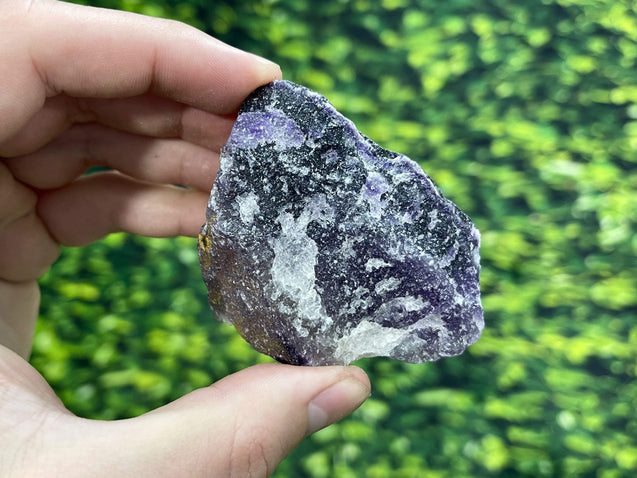 "EARLY BIRD EINSTEIN" Rainbow Fluorite High Quality Rough Specimen