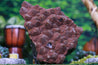 Super Seven Huge Terminations Auralite 9.50 Rare Mineral High Quality II-13s