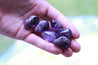 Tumbled Amethyst Stone - DIVINE LIGHT Healing Gemstone GOOD VIBES