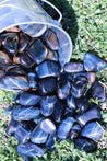 Blue Tiger's Eye "SEE INTO YOURSELF" Healing Gemstone