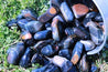 Blue Tiger's Eye "SEE INTO YOURSELF" Healing Gemstone