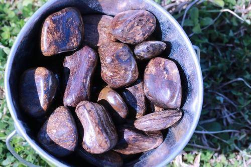 Bronzite WEAPON AGAINST NEGATIVITY Reflects Bad Energy Back at the Source