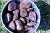 Bronzite WEAPON AGAINST NEGATIVITY Reflects Bad Energy Back at the Source