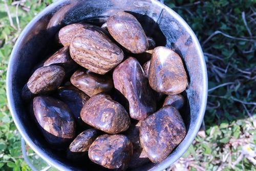 Bronzite WEAPON AGAINST NEGATIVITY Reflects Bad Energy Back at the Source