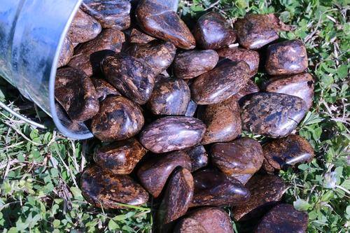 Bronzite WEAPON AGAINST NEGATIVITY Reflects Bad Energy Back at the Source