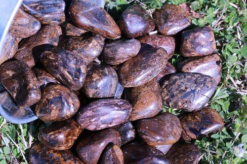 Bronzite WEAPON AGAINST NEGATIVITY Reflects Bad Energy Back at the Source