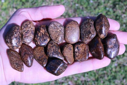Bronzite WEAPON AGAINST NEGATIVITY Reflects Bad Energy Back at the Source