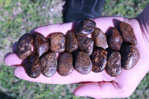 Bronzite WEAPON AGAINST NEGATIVITY Reflects Bad Energy Back at the Source