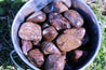 Bronzite WEAPON AGAINST NEGATIVITY Reflects Bad Energy Back at the Source
