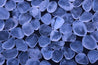 Clear Quartz High Quality Healing Tumbled Gemstone