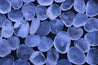 Clear Quartz High Quality Healing Tumbled Gemstone