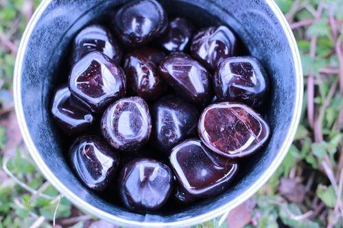 Garnet HEALTHY POSITIVITY UPLIFTING Healing Gemstone