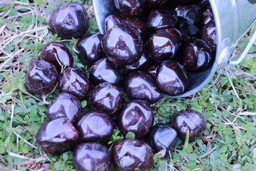 Garnet HEALTHY POSITIVITY UPLIFTING Healing Gemstone