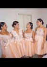 Tulle Bridesmaid Dresses / Gowns Ball Gown V-Neck Knee-Length With Lace